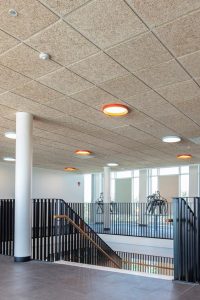 techo desmontable viruta