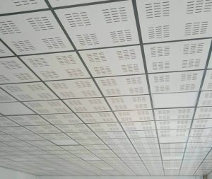 techos desmontable 3